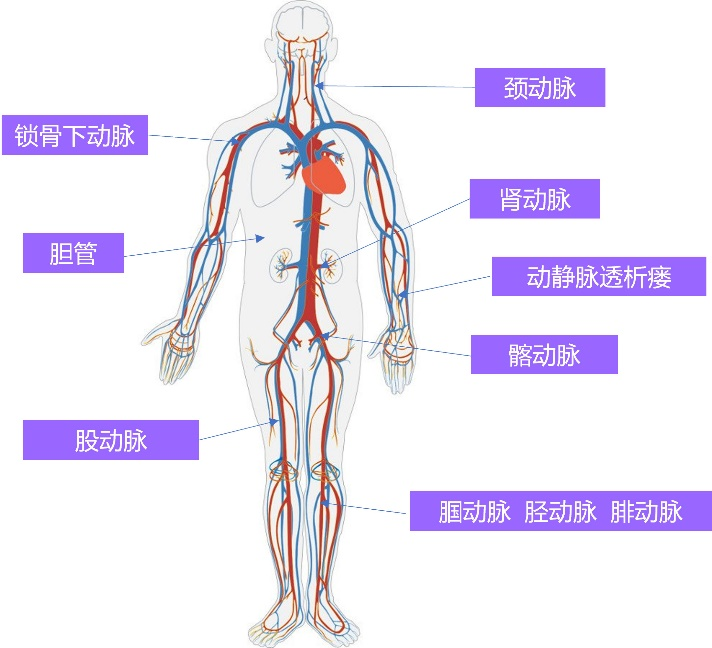 &#38886;&#24503;&#32593;&#31449;&#45;&#40;&#20013;&#22269;&#41;&#26377;&#38480;&#36131;&#20219;&#38886;&#24503;&#32593;&#31449;